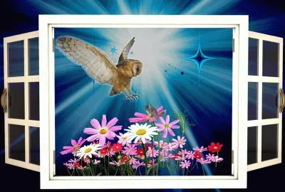 Ã¶lkj jigsaw puzzle