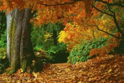 oct202013_ jigsaw puzzle