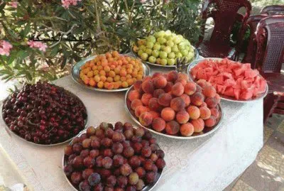 frutas