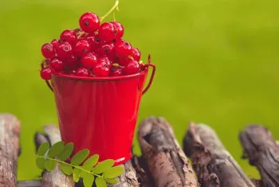 vghj