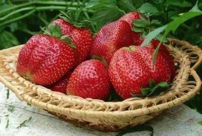 frutas