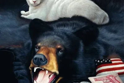Gatos