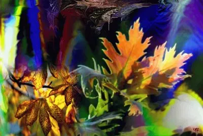 kgtrzgv jigsaw puzzle