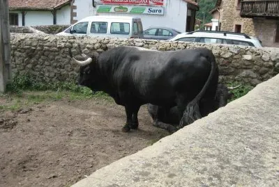 פאזל של CANTABRIA