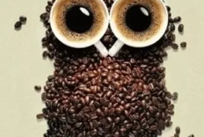 civette jigsaw puzzle