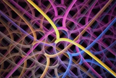 apophysis jigsaw puzzle