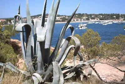 Paisatje