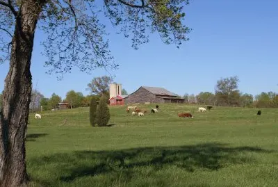 Mecklenburg County Farm