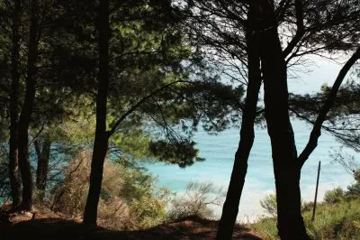 פאזל של Pineta e mare