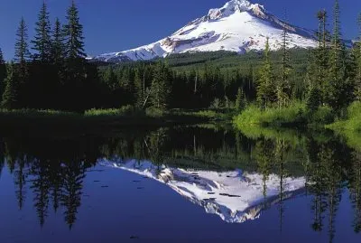 Mt. Hood