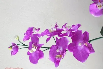 LILÃS jigsaw puzzle