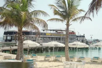 palapas
