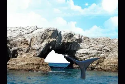 ISLAS MARIETAS