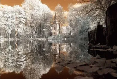 reflected landscape