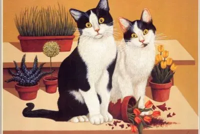 Gatos