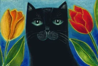 Gatos