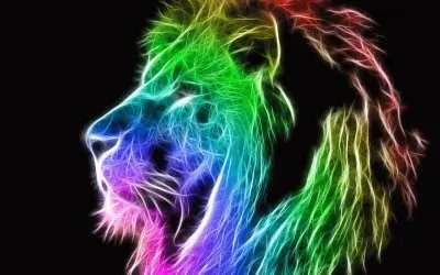 sol del desierto jigsaw puzzle