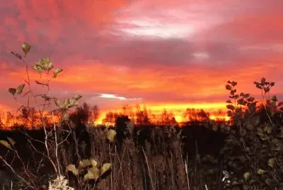 Another colourful sunrise