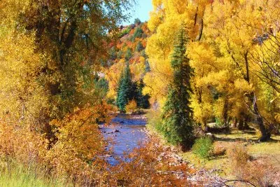 Fall in Colorado