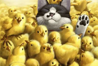 Gatos