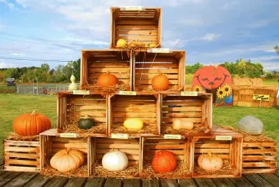 Pumpkins