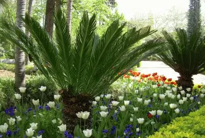 Jardins