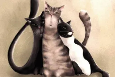 פאזל של Gatos