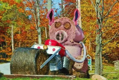 Hay bale pig
