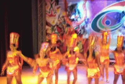 leones 2010 jigsaw puzzle