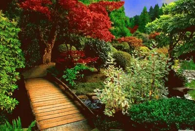 puente jigsaw puzzle