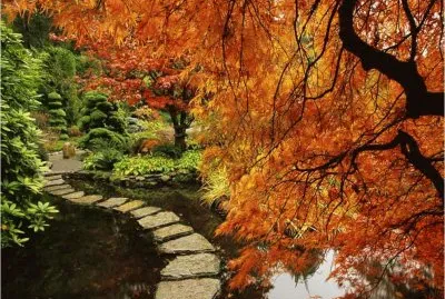 Autumn jigsaw puzzle