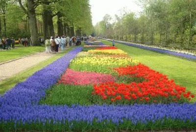 Jardim Holanda 3 nov