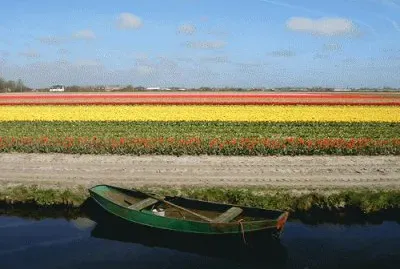 barquinho
