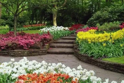 escada no jardim