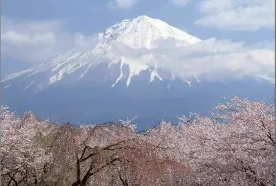 Mount Fuji in Springtime  Japan jigsaw puzzle