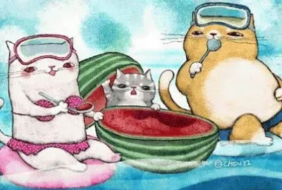 Gatos