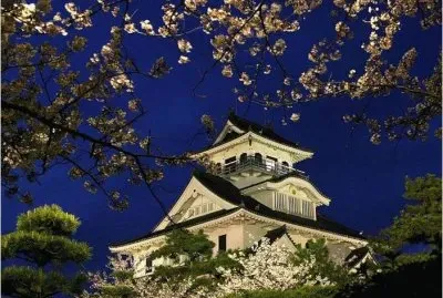 Springtime in Japan jigsaw puzzle