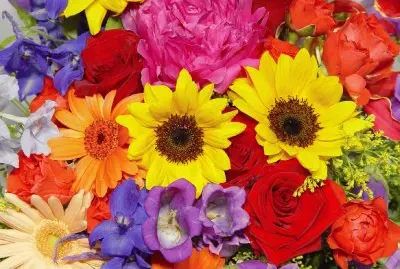 פאזל של Flors