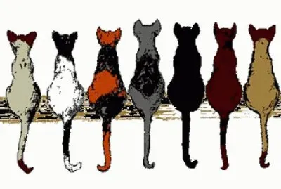 Gatos