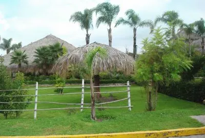 palapas