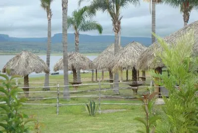 palapas