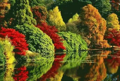 brilliant colors