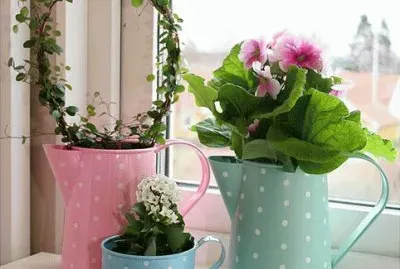 flores en la ventana
