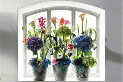 flores en la ventana