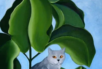 פאזל של Gatos