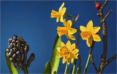 Springtime jigsaw puzzle