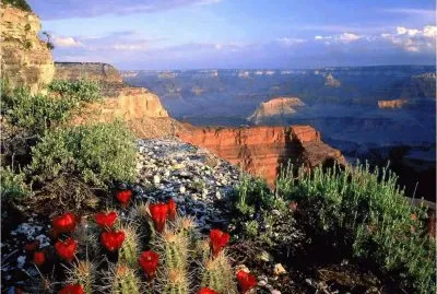 Grand Canyon  Arizona  USA jigsaw puzzle