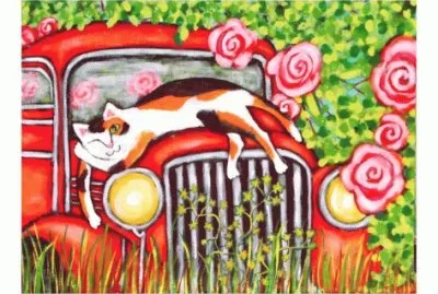 Gatos
