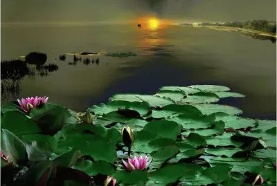 פאזל של Sunset in the Rocky Mountains