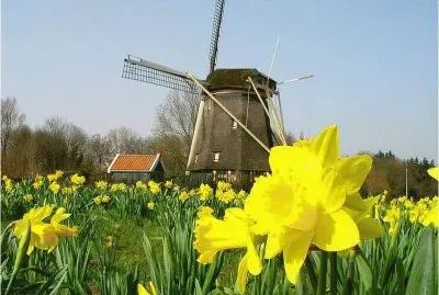 פאזל של Dutch Windmill
